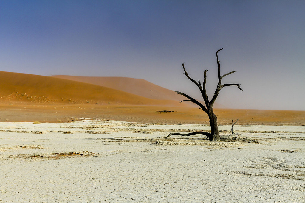 deathvlei-1.jpg