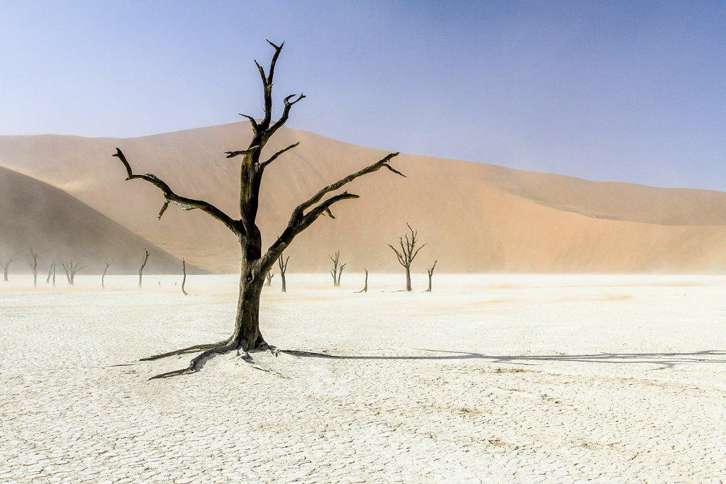 deathvlei-2.jpg