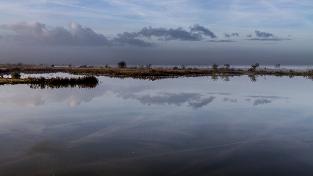 Polder