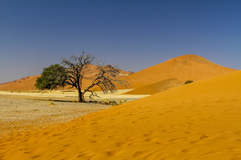 sossusvlei-3.jpg